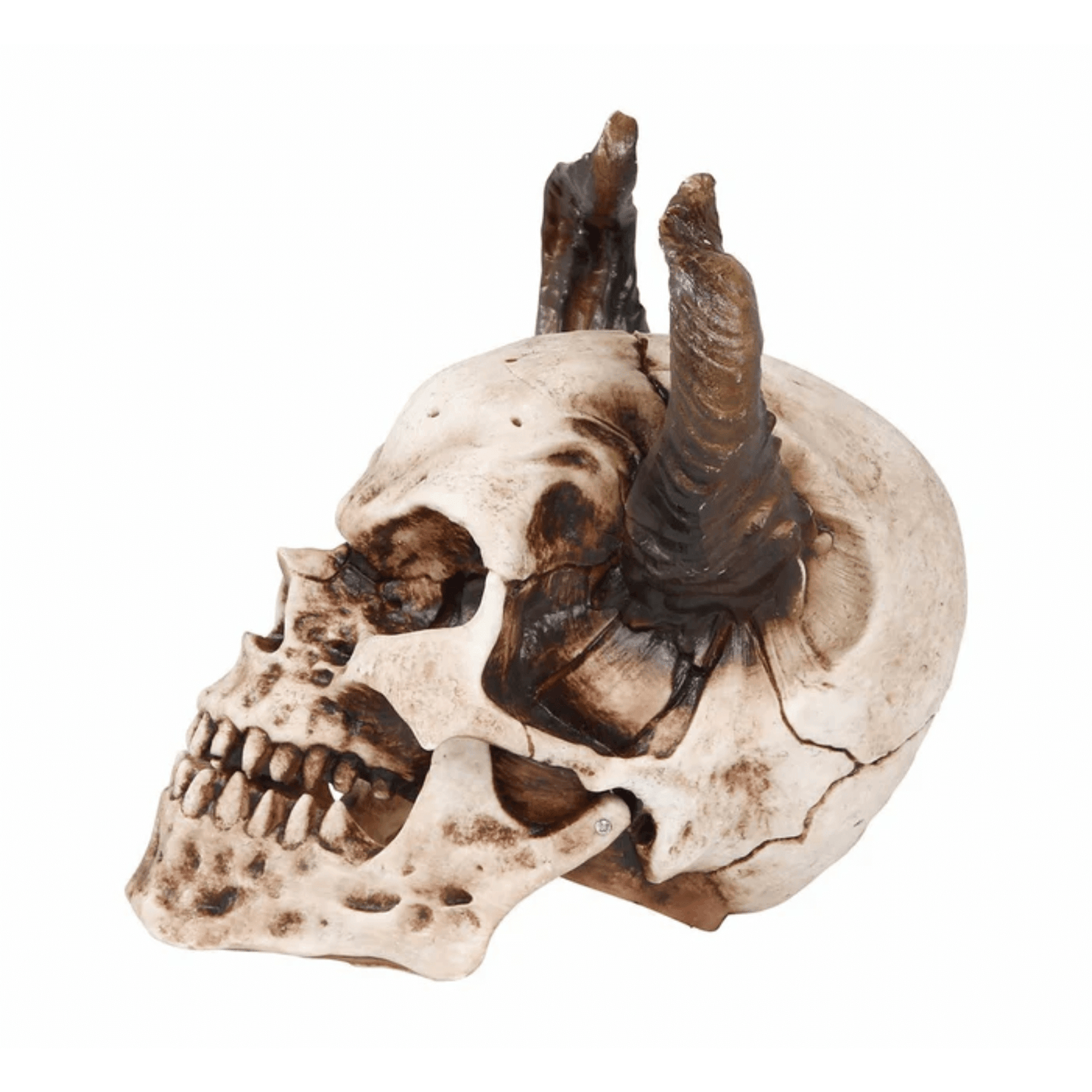 calavera-3