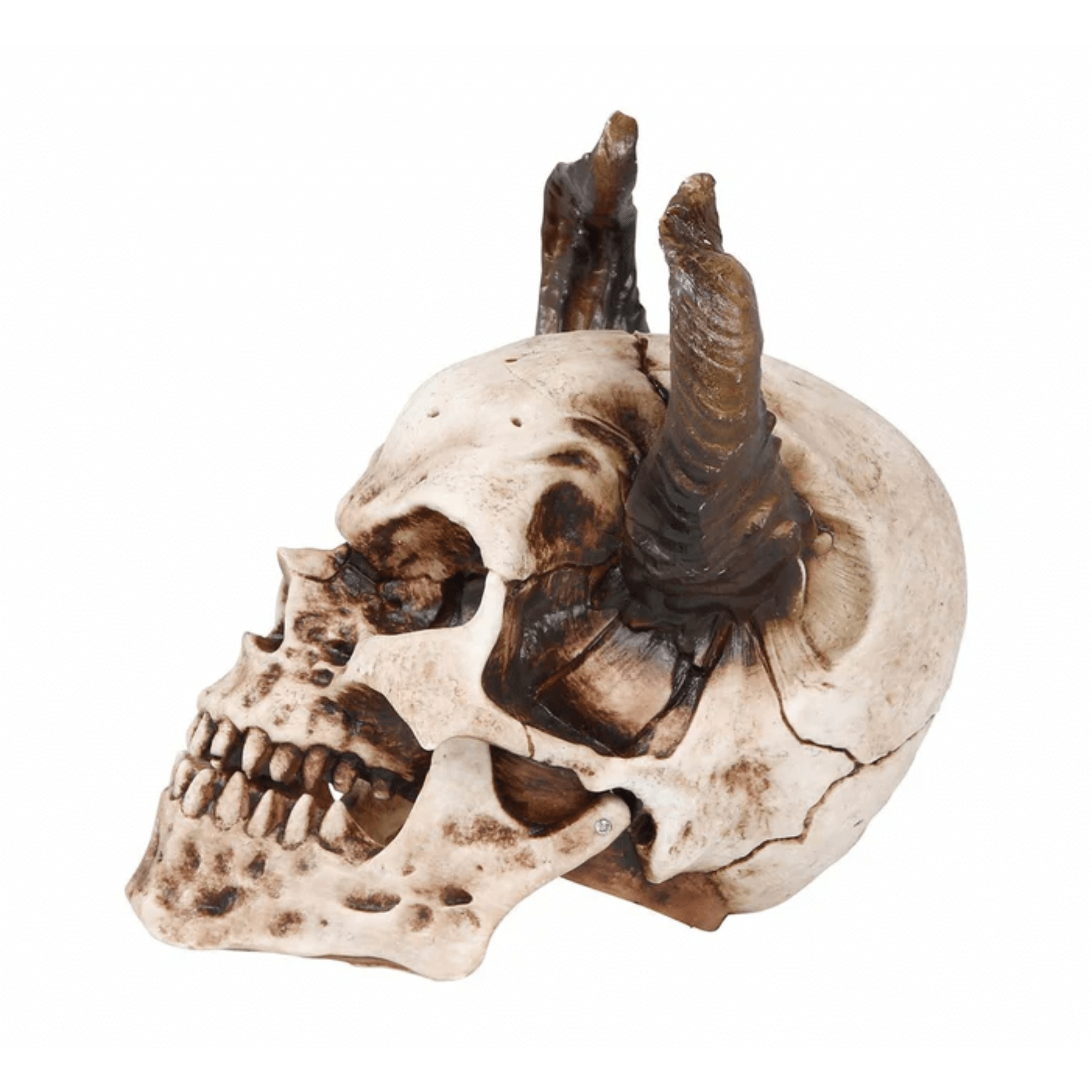 calavera-3