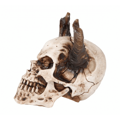 calavera-3